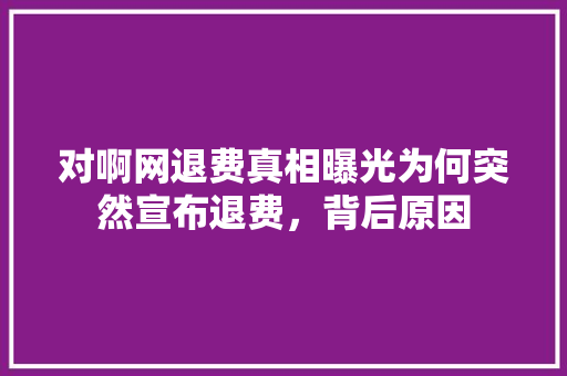 对啊网退费真相曝光为何突然宣布退费，背后原因