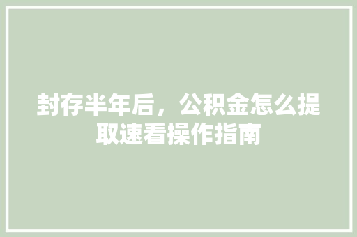 封存半年后，公积金怎么提取速看操作指南