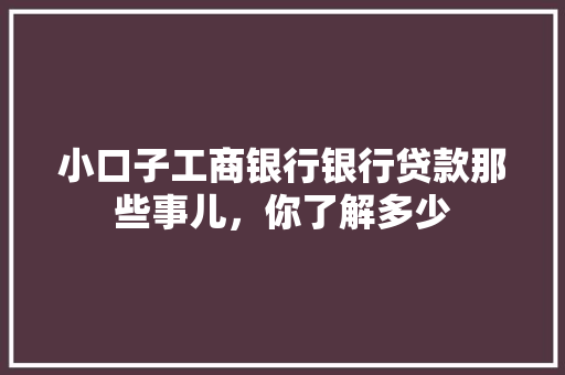 小口子工商银行银行贷款那些事儿，你了解多少