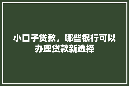 小口子贷款，哪些银行可以办理贷款新选择