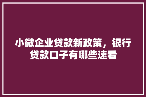 小微企业贷款新政策，银行贷款口子有哪些速看
