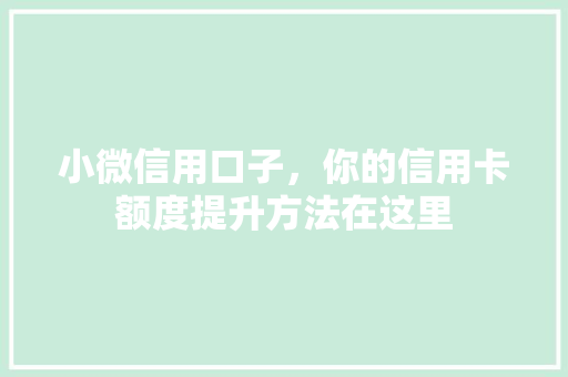 小微信用口子，你的信用卡额度提升方法在这里
