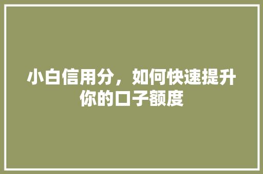 小白信用分，如何快速提升你的口子额度