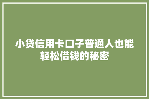 小贷信用卡口子普通人也能轻松借钱的秘密