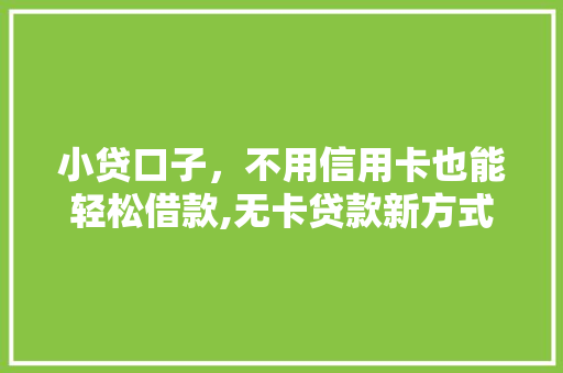 小贷口子，不用信用卡也能轻松借款,无卡贷款新方式