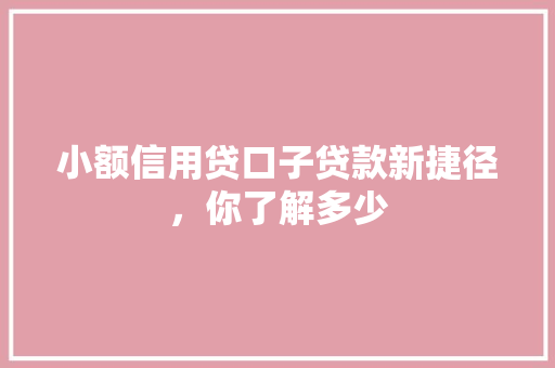 小额信用贷口子贷款新捷径，你了解多少