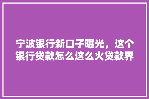 宁波银行新口子曝光，这个银行贷款怎么这么火贷款界的新星