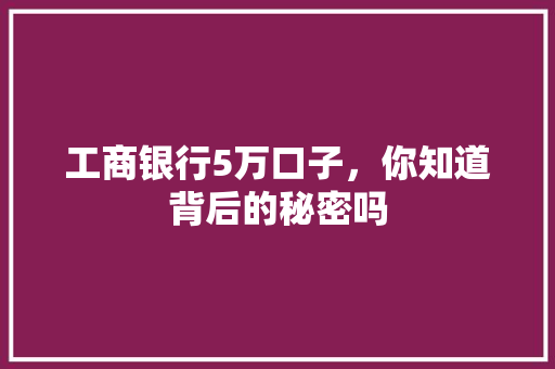工商银行5万口子，你知道背后的秘密吗