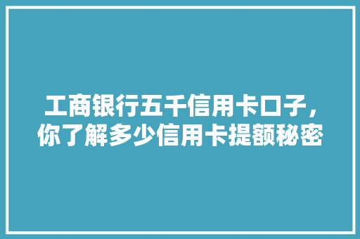 工商银行五千信用卡口子，你了解多少信用卡提额秘密