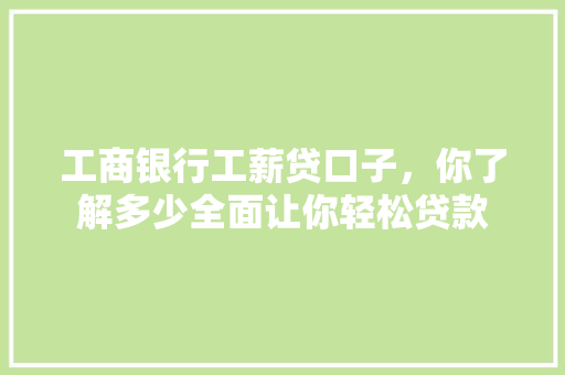 工商银行工薪贷口子，你了解多少全面让你轻松贷款