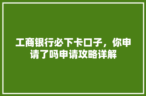 工商银行必下卡口子，你申请了吗申请攻略详解
