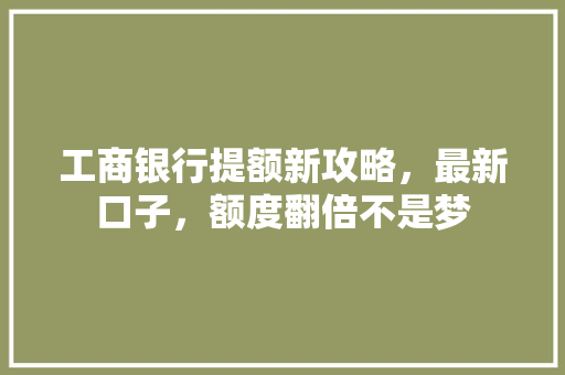 工商银行提额新攻略，最新口子，额度翻倍不是梦