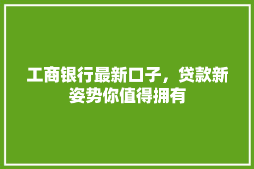工商银行最新口子，贷款新姿势你值得拥有