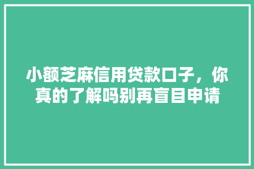 小额芝麻信用贷款口子，你真的了解吗别再盲目申请