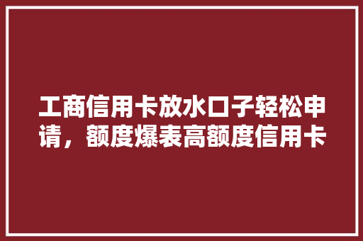 工商信用卡放水口子轻松申请，额度爆表高额度信用卡申请攻略