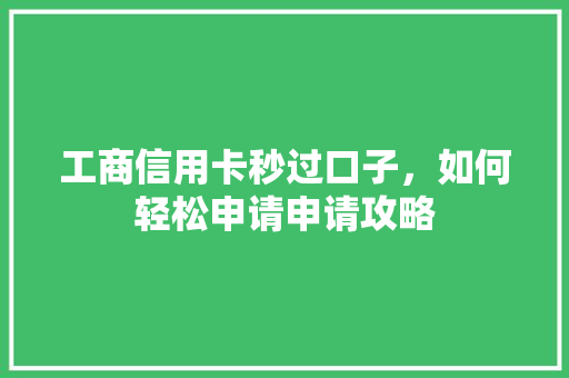 工商信用卡秒过口子，如何轻松申请申请攻略