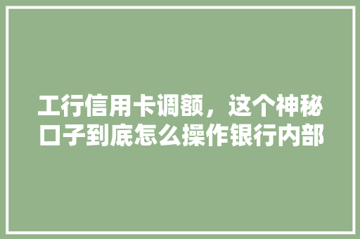 工行信用卡调额，这个神秘口子到底怎么操作银行内部调额方法
