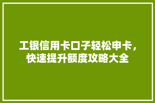工银信用卡口子轻松申卡，快速提升额度攻略大全