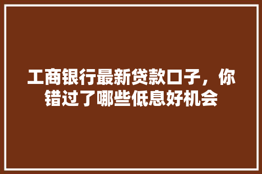 工商银行最新贷款口子，你错过了哪些低息好机会