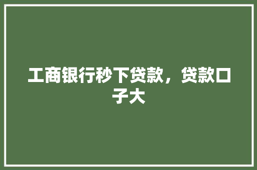 工商银行秒下贷款，贷款口子大
