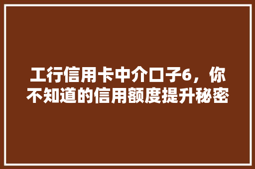 工行信用卡中介口子6，你不知道的信用额度提升秘密