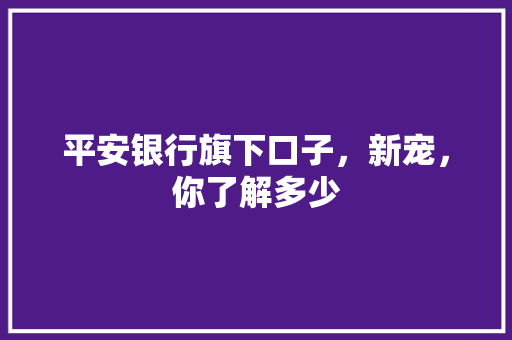 平安银行旗下口子，新宠，你了解多少