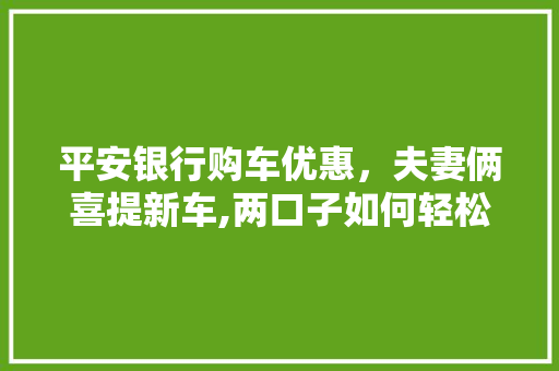 平安银行购车优惠，夫妻俩喜提新车,两口子如何轻松购车