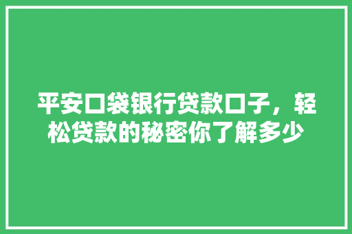 平安口袋银行贷款口子，轻松贷款的秘密你了解多少