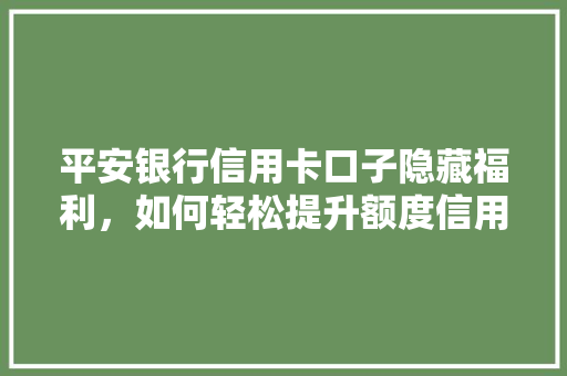 平安银行信用卡口子隐藏福利，如何轻松提升额度信用卡提升额度的秘密武器