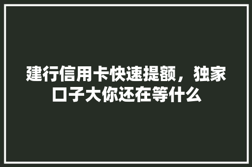 建行信用卡快速提额，独家口子大你还在等什么