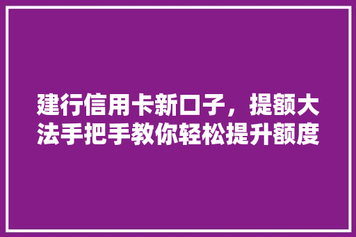 建行信用卡新口子，提额大法手把手教你轻松提升额度