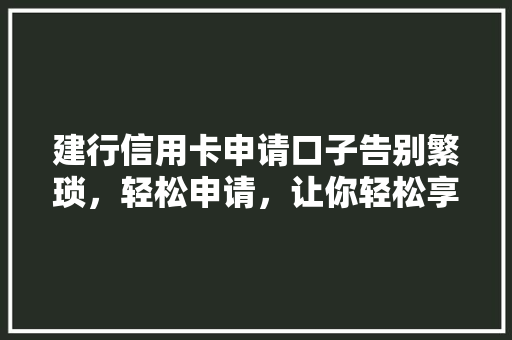 建行信用卡申请口子告别繁琐，轻松申请，让你轻松享受生活