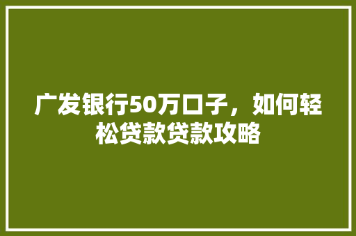 广发银行50万口子，如何轻松贷款贷款攻略
