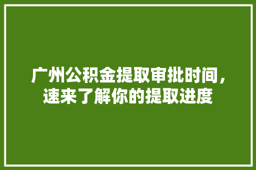 广州公积金提取审批时间，速来了解你的提取进度