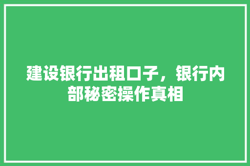 建设银行出租口子，银行内部秘密操作真相