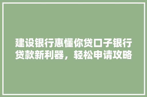 建设银行惠懂你贷口子银行贷款新利器，轻松申请攻略