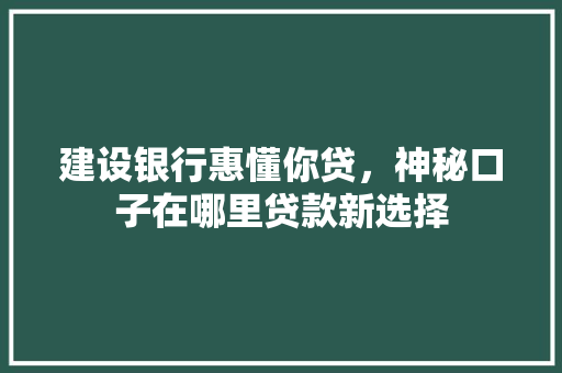 建设银行惠懂你贷，神秘口子在哪里贷款新选择