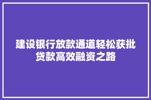 建设银行放款通道轻松获批贷款高效融资之路