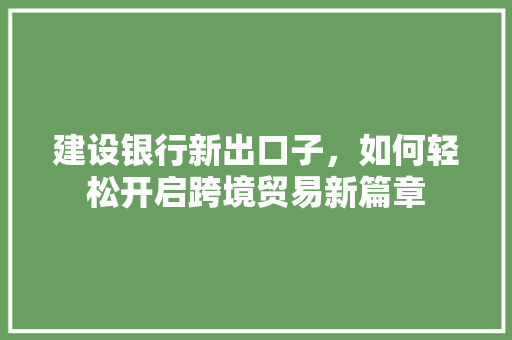 建设银行新出口子，如何轻松开启跨境贸易新篇章