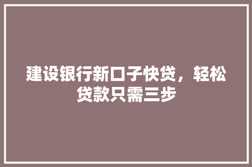 建设银行新口子快贷，轻松贷款只需三步