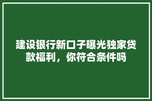 建设银行新口子曝光独家贷款福利，你符合条件吗