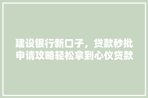 建设银行新口子，贷款秒批申请攻略轻松拿到心仪贷款，你值得拥有