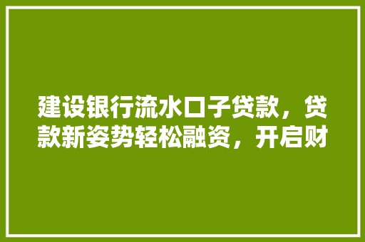 建设银行流水口子贷款，贷款新姿势轻松融资，开启财富之门