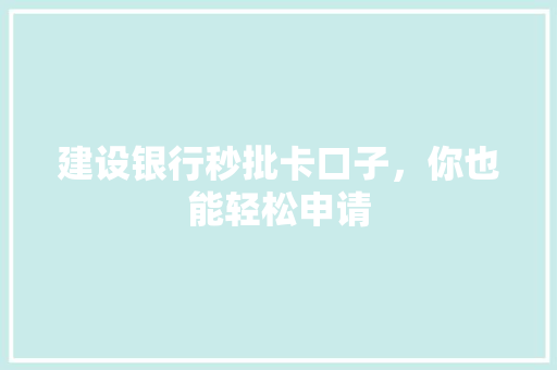 建设银行秒批卡口子，你也能轻松申请