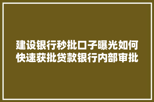 建设银行秒批口子曝光如何快速获批贷款银行内部审批方法
