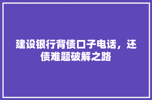 建设银行背债口子电话，还债难题破解之路