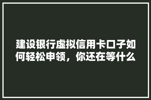 建设银行虚拟信用卡口子如何轻松申领，你还在等什么