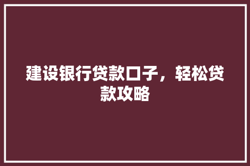 建设银行贷款口子，轻松贷款攻略