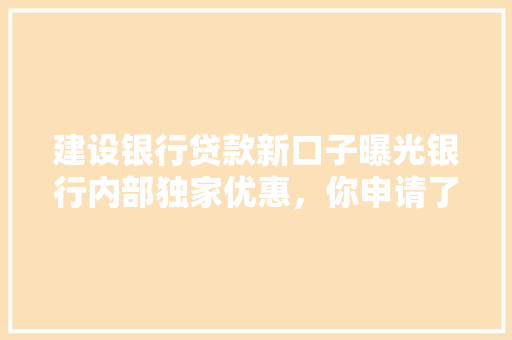 建设银行贷款新口子曝光银行内部独家优惠，你申请了吗