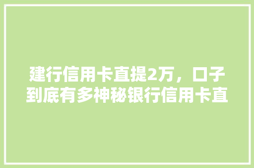 建行信用卡直提2万，口子到底有多神秘银行信用卡直提的奥秘